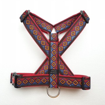 Bruin band rode voering