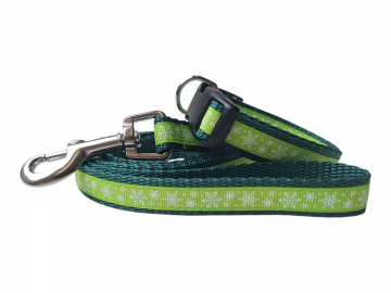 20260106113037 photoroom