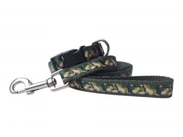 20260106113232 photoroom