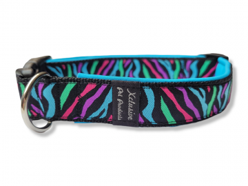 Gevoerde halsband maat m zebra blue