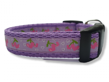 Halsband lila 2