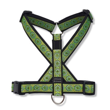 Zwart band zwarte voering