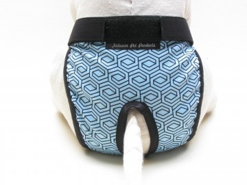 Loopsheidbroekje blue geo