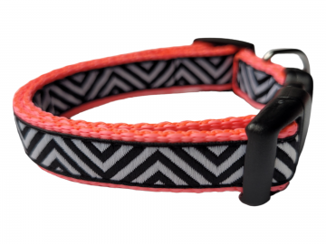 Photoroom 2023101116595420 0