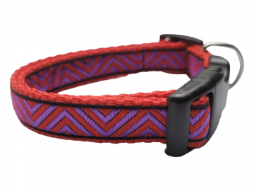 Photoroom 2024022917243613 0