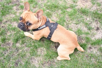 Naamlabel 8x2 maat M