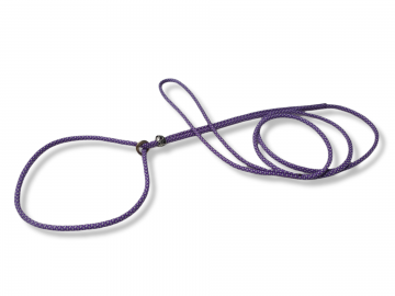 Showlijn strass purple diamond 5