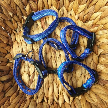 Surprise puppybandjes blauw