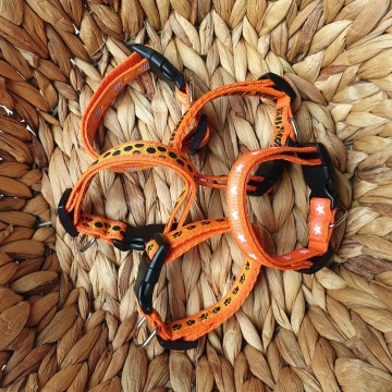 Surprise puppybandjes oranje